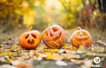 jesenna-dekoracia-aj-vsestranna-kuchynska-surovina-ako-na-vyber-spravnej-tekvice